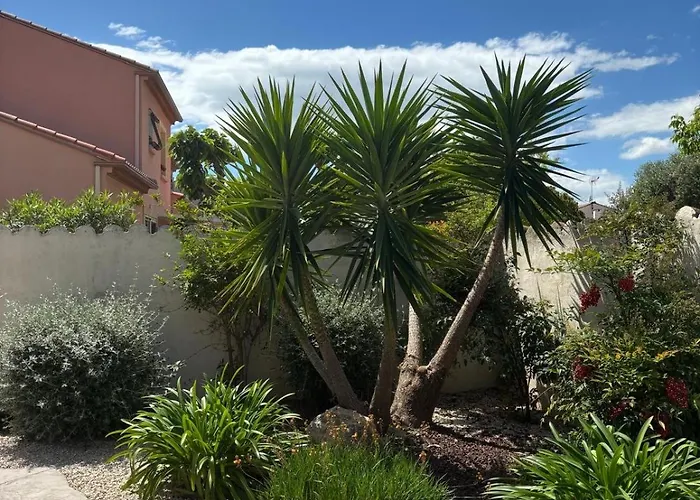La Maison Brennus , Piscine, 15 Min Des Plages Feriehus *